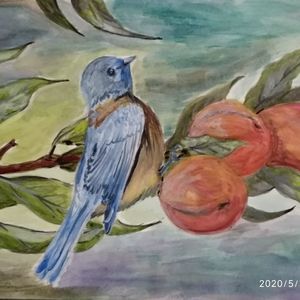 Meet your Posher, Rigily